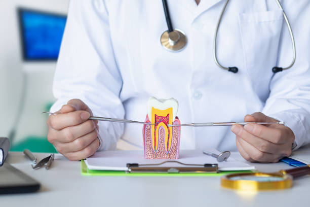 Best Emergency Dentist for Knocked-Out Tooth in Alexandria, VA